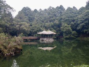 taiwan hiking alishan forest pagoda expat hikers