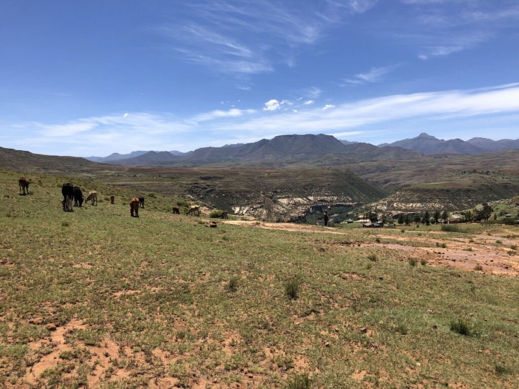 Malealea Basotho herder