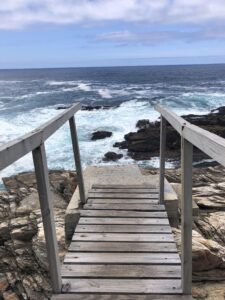 bridge waterfall trail tsitsikamma