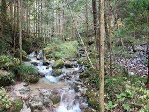 Nakasendo trail japan creekside