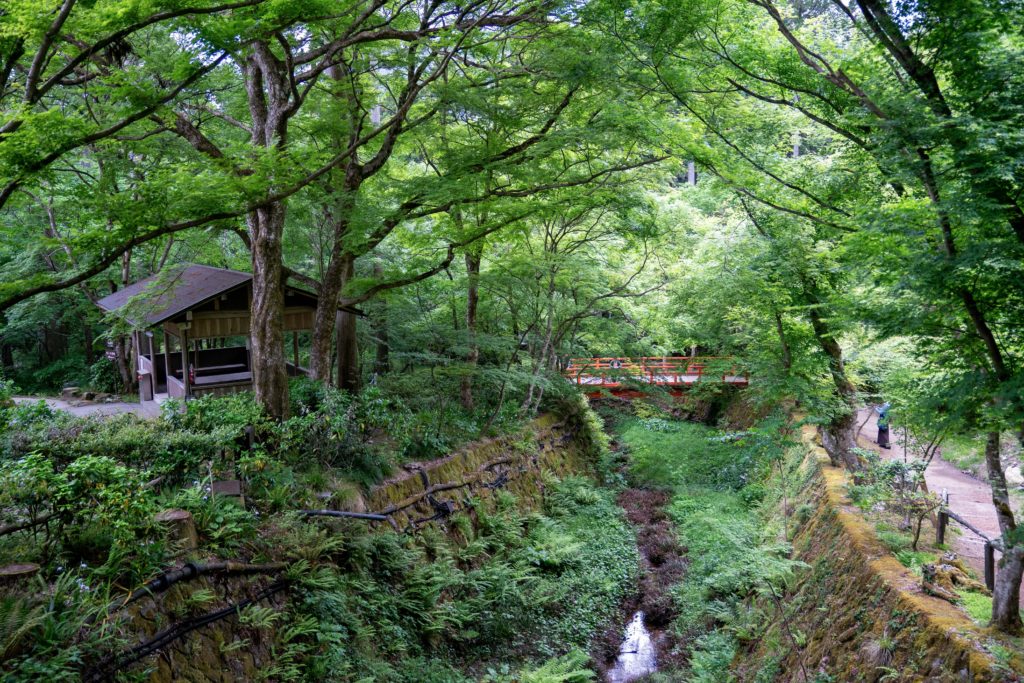 Japan nagasenko trail