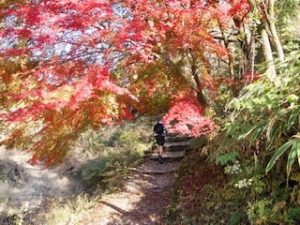 Nakasendo trail japan autumn colors